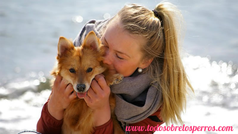 Enséñale a tu perro a ir al baño y donde debe orinar