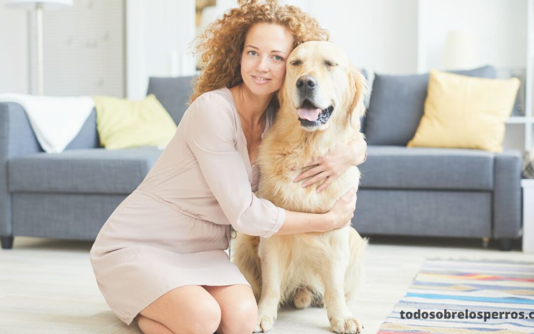 Ayudar a su mascota a recuperarse después de una extracción dental